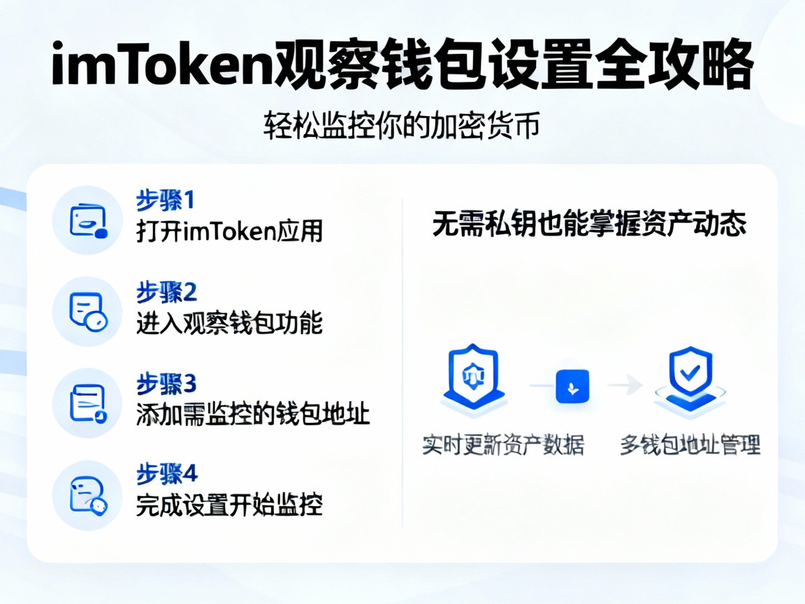 imToken观察钱包设置全攻略，轻松监控你的加密货币，无需私钥也能掌握资产动态