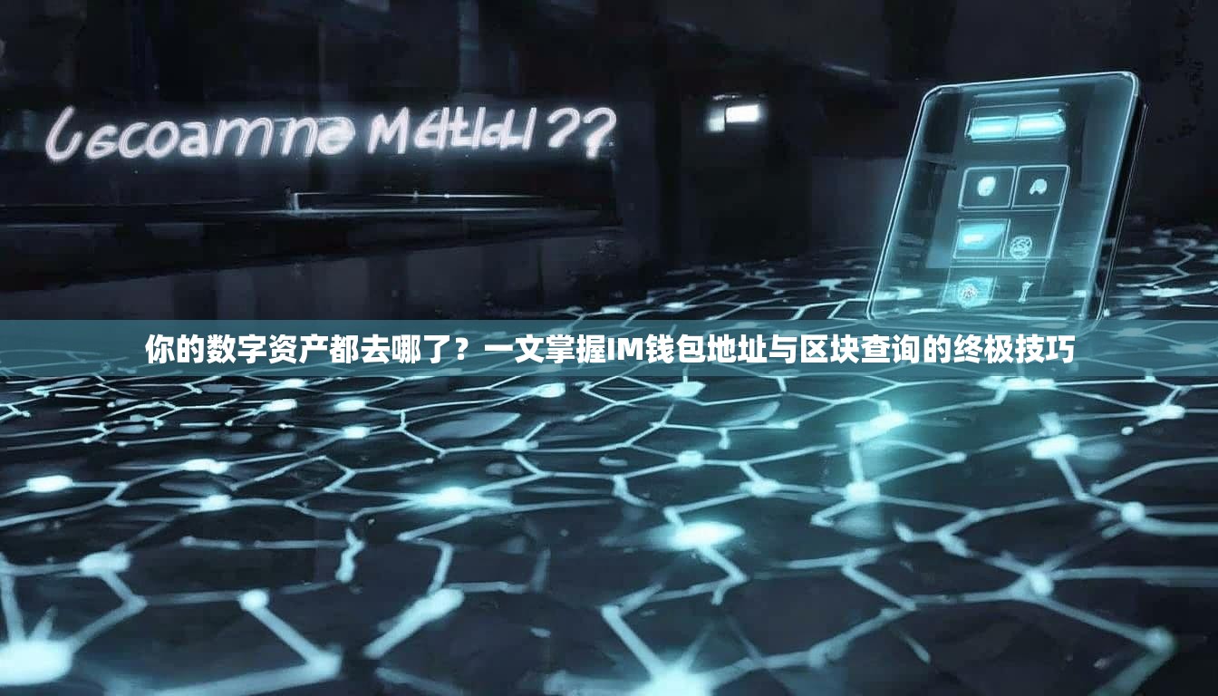 你的数字资产都去哪了？一文掌握IM钱包地址与区块查询的终极技巧